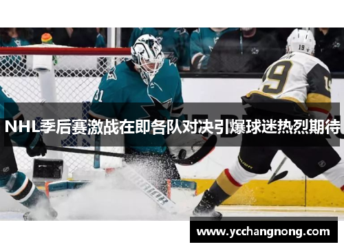 NHL季后赛激战在即各队对决引爆球迷热烈期待