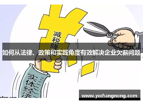 如何从法律、政策和实践角度有效解决企业欠薪问题