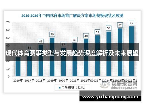 现代体育赛事类型与发展趋势深度解析及未来展望