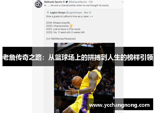 老詹传奇之路：从篮球场上的拼搏到人生的榜样引领