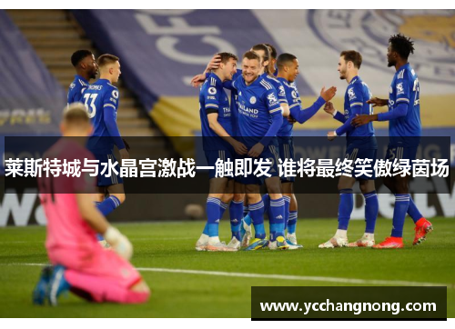 莱斯特城与水晶宫激战一触即发 谁将最终笑傲绿茵场