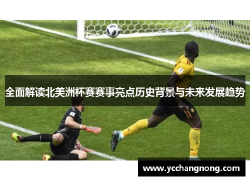 全面解读北美洲杯赛赛事亮点历史背景与未来发展趋势