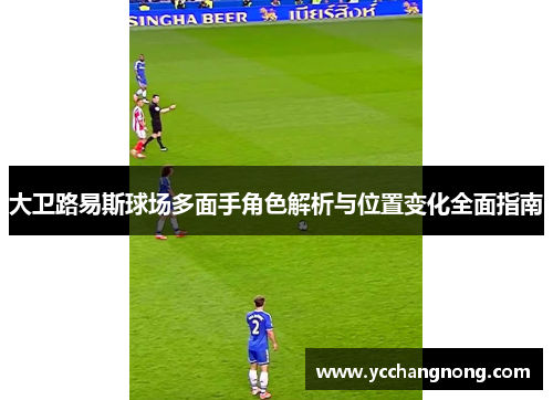 大卫路易斯球场多面手角色解析与位置变化全面指南 大卫路易斯球场多面手角色解析与位置变化全面指南
