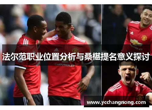 法尔范职业位置分析与桑椹提名意义探讨