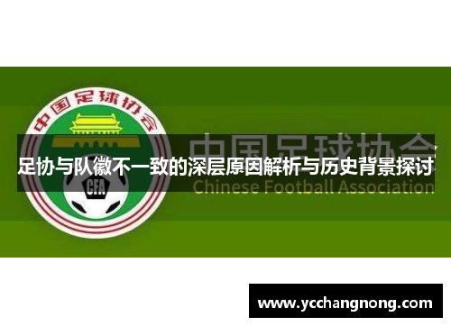 足协与队徽不一致的深层原因解析与历史背景探讨