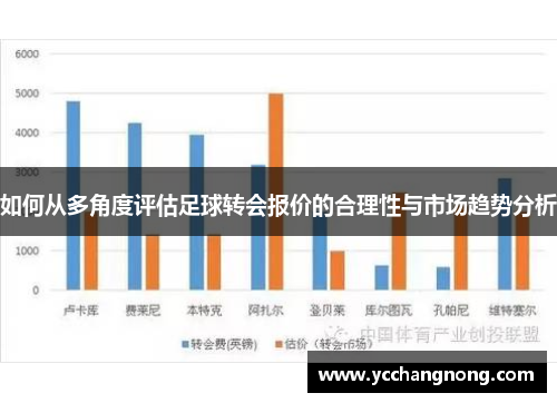 如何从多角度评估足球转会报价的合理性与市场趋势分析