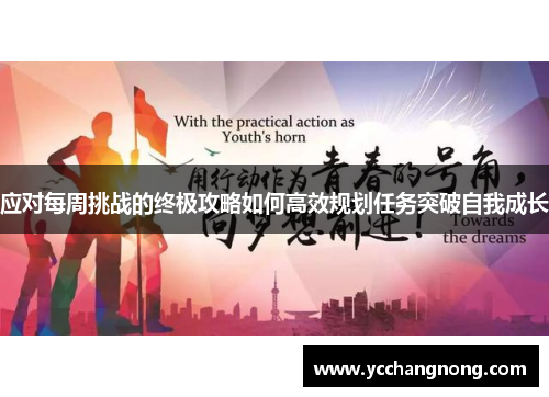 应对每周挑战的终极攻略如何高效规划任务突破自我成长